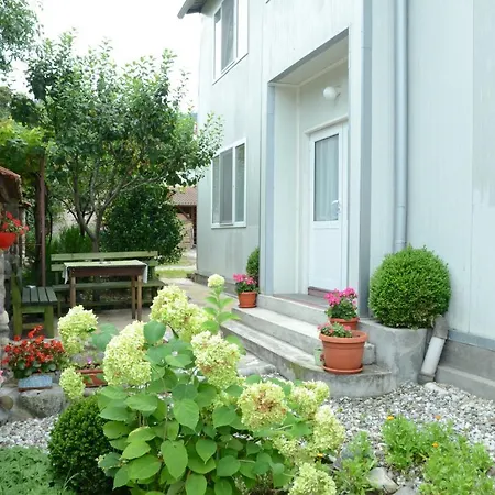 ゲストハウス The Austrian House デヴィン